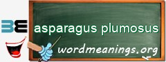 WordMeaning blackboard for asparagus plumosus